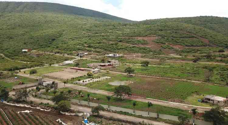 terreno en venta camino a san martin vinedos lake jocotepec jalisco pjwqWZN