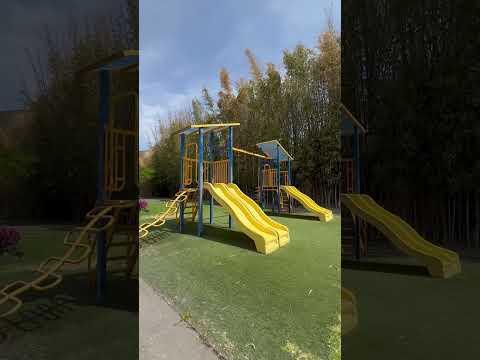 Previsualización de video