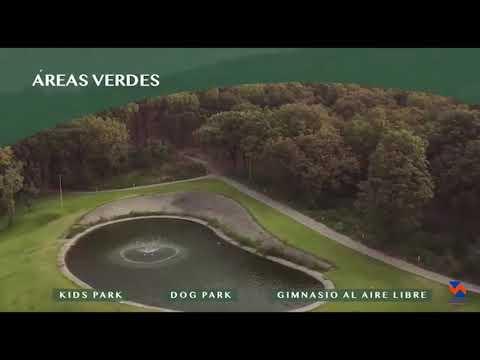 Previsualización de video