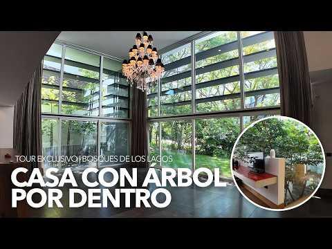 Previsualización del video