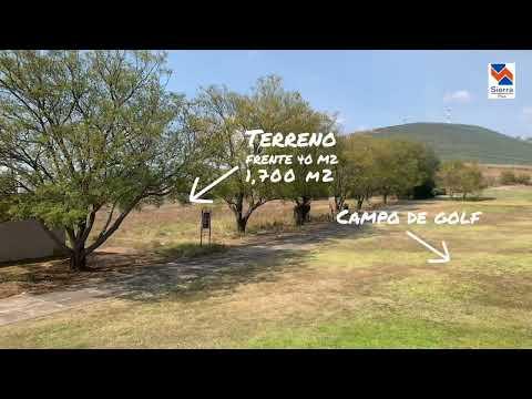 Previsualización del video