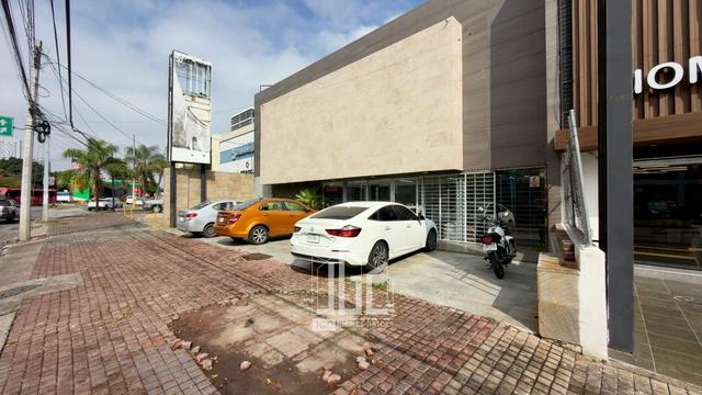 Foto de la galeria de imagenes