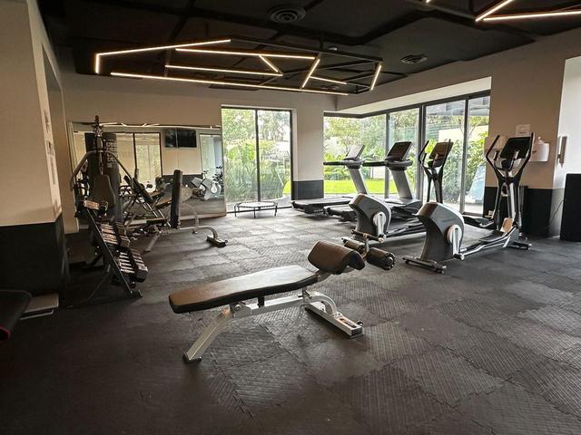 Foto de la galeria de imagenes