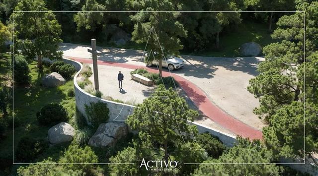 Foto de la galeria de imagenes