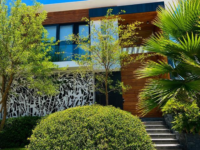 Foto de la galeria de imagenes