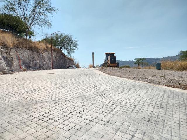 Foto de la galeria de imagenes