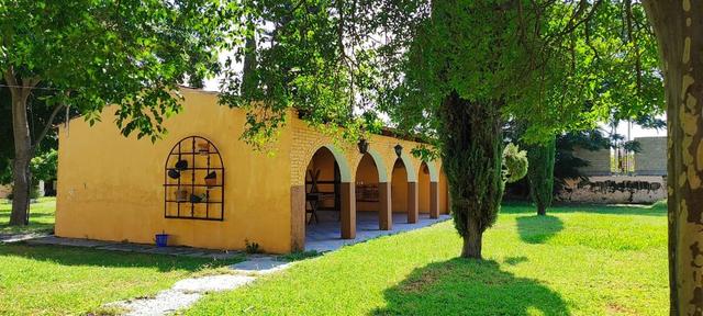 Foto de la galeria de imagenes