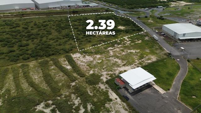 Foto de la galeria de imagenes