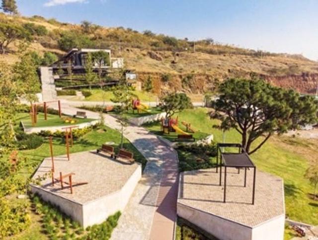 Foto de la galeria de imagenes