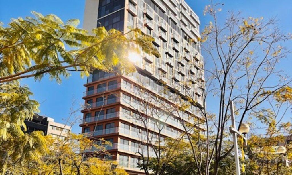 Foto de la galeria de imagenes