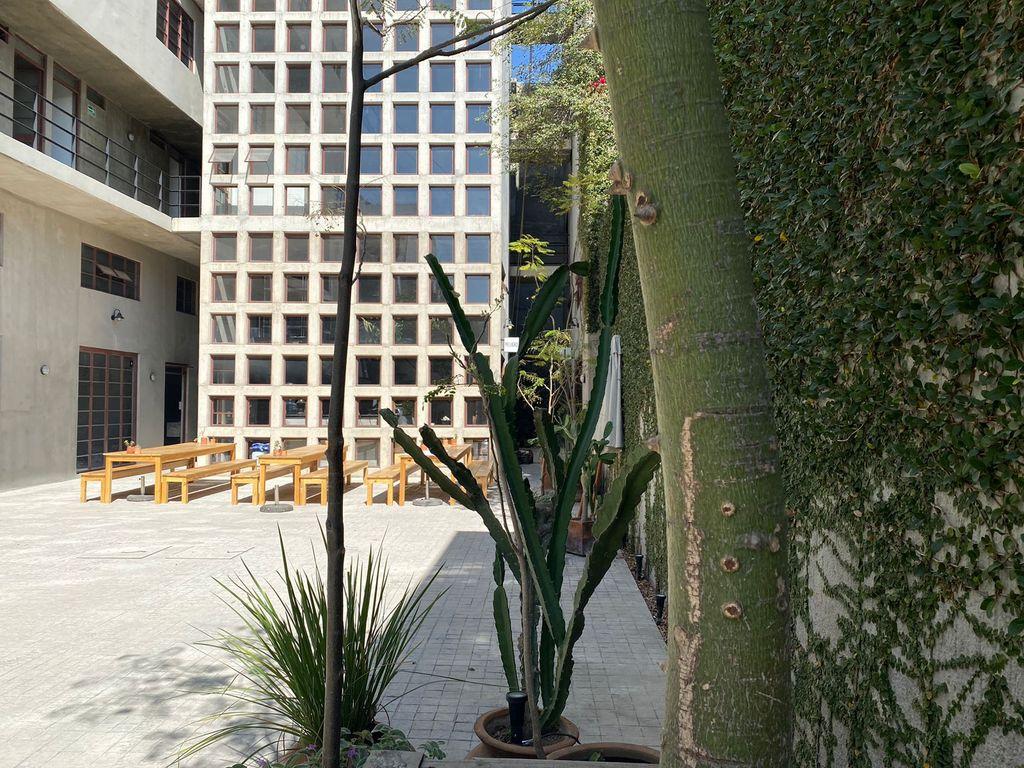 Foto de la galeria de imagenes
