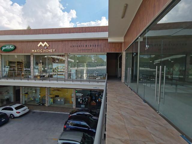 Foto de la galeria de imagenes