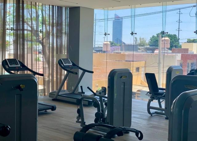 Foto de la galeria de imagenes