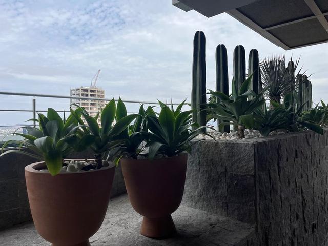 Foto de la galeria de imagenes