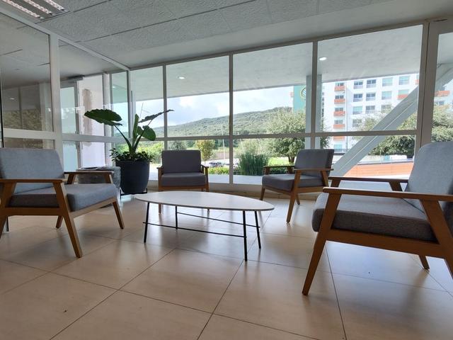 Foto de la galeria de imagenes
